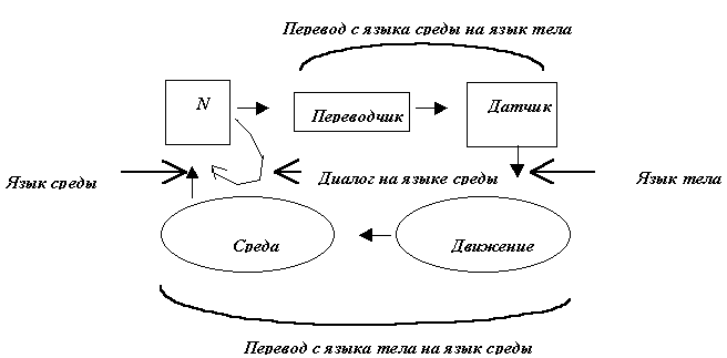 Внутренние коды нейрона, датчика, тела и среды различны