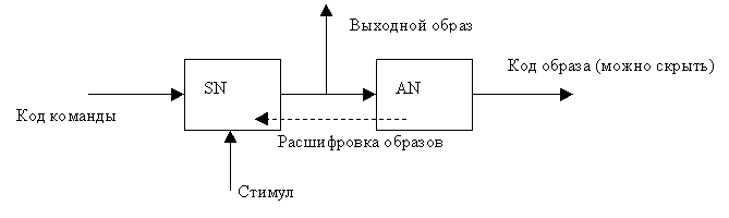 Передача сигнала от синтезирующего нейрона к анализирующему