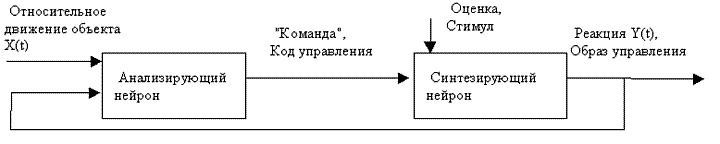 Кольцо из анализирующего и синтезирующего нейронов